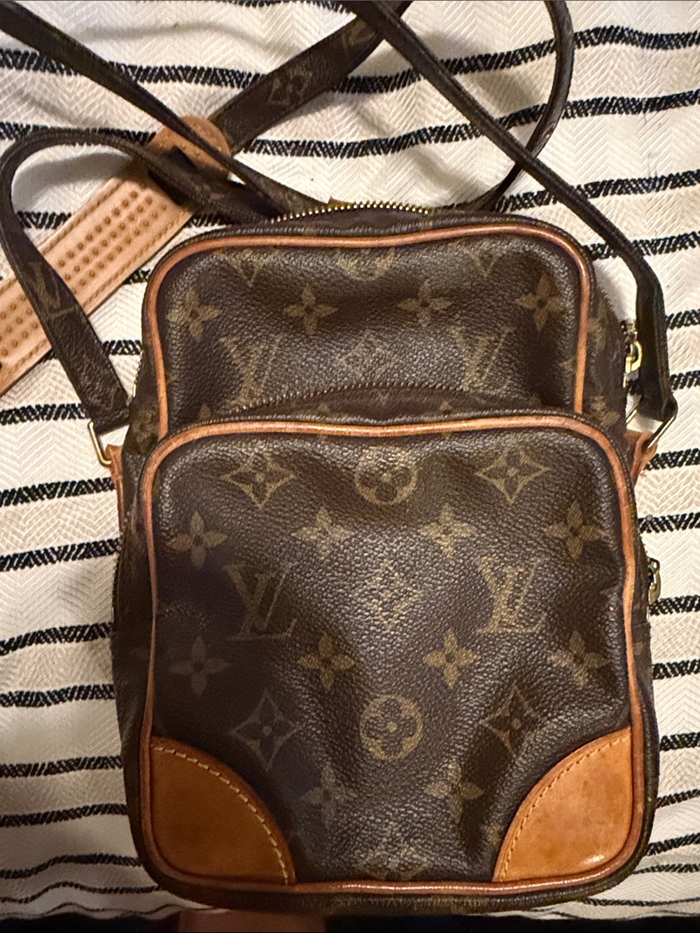Louis Vuitton Amazon Crossbody Bag
